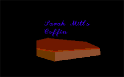 Sarah Mitt's Coffin