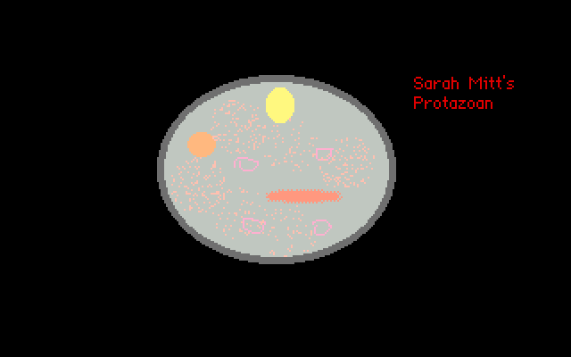 Sarah Mitt's Protazoan